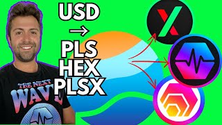 USA Unlocked PulseChain Update Best Crypto Exchange How To Buy PulseChain HEX and PulseX [upl. by Pheni]