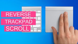 How To Reverse Touchpad Scrolling In Windows 10 Bootcamp OS [upl. by Pancho]