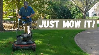 Mowing New Grass  TTTF Pennington Elite Seed First Mow  Toro Timemaster [upl. by Bussy751]