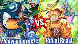 Floowandereeze vs Ritual Beast  High Rated DB YuGiOh  Dueling Book [upl. by Hervey319]