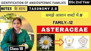 Asteraceae Family 🌻 Floral diagram and formulas  Taxonomy  Economic importance [upl. by Kurland435]