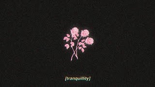 tranquillity  lofi hip hop beat FREE FOR PROFIT USE [upl. by Htebaile]