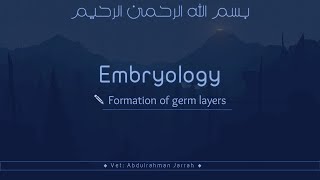 Embryology  Vet Medicine  Formation of germ layers  شرح بالعربي [upl. by Otnas122]