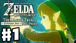 Trial of the Sword Beginning Trials  The Legend of Zelda Breath of the Wild DLC Pack 1 Gameplay [upl. by Beker]