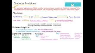 Understanding Diabetes Insipidus [upl. by Neelac242]