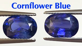 Exclusive Cornflower Blue Sapphire Unheated Pair  8 Carats total  Vivid Blue Sapphire [upl. by Casta]