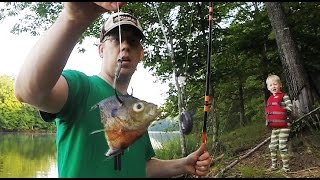 How to catch catfish from the bank  Bank fishing for catfish [upl. by Polk]