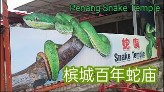 美丽神话  梹城百年蛇庙 Penang Snake Temple the only one in the world we are coming [upl. by Evars391]