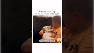 A Boy sings to his dog while hes dying DogLove PetLoss PetCompanion LoyalFriend TributeToADog [upl. by Florie90]