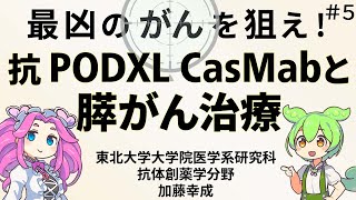 第５回 抗体創薬学分野 研究成果紹介：ポドカリキシンを標的とした膵がんの抗体治療 [upl. by Suravaj]