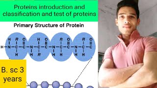 Proteins introduction and classification [upl. by Lenuahs]