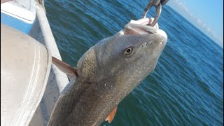 Sharks Jetty fishing at Fernandina Beach Florida [upl. by Ambrosia695]