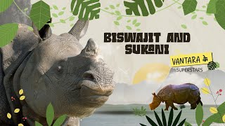 Biswajit the Rhino 🦏  Vantara ke Superstars✨ [upl. by Gean]