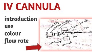 iv cannula types use  colour paramedical lecture iv cannula notes [upl. by Sivrahc]