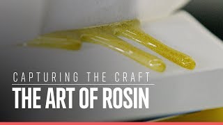 Capturing the Craft The Art of Rosin  Weedmaps News [upl. by Nowd]