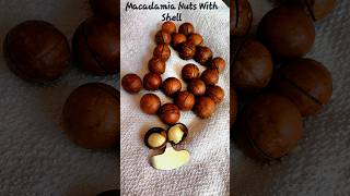 Macadamia Nuts key crack wallnuthow to open macadamianuts keycrackwallnut wallnut shorts arab [upl. by Aleekahs]