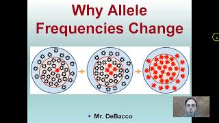 Mechanisms of Change Gene Flow Genetic Drift and Nonrandom Mating [upl. by Enasus22]