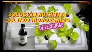 Incorporación de NUTRIENTES a mi cultivo de LECHUGAS 🥬 HIDROPÓNICAS 💦 2ª entrega [upl. by Rim351]