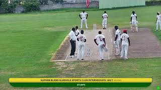 Superb Blend Gladiola vs Horizon Finance Malvern  Day 2 [upl. by Ettenuahs]