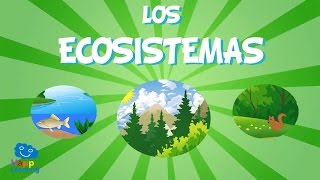 Ecosistemas  Vídeos Educativos para Niños [upl. by Ynaffik324]