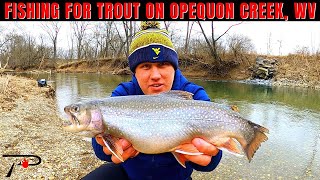 Fishing for Trout on Opequon Creek WEST VIRGINIA [upl. by Galanti]