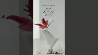 Heart tpuching quotes aqwal e zareen new about life Haadi khan virelshort shortsfeed shortvideo [upl. by Baynebridge]