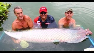 River Monster  Thailand  250lb Arapaima  Gillhams Fishing Resorts [upl. by Geordie]