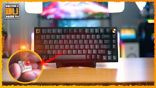 커세어 K65 RGB PLUS 유무선 게이밍 기계식 키보드 CORSAIR K65 RGB PLUS 75 기계식 키보드 [upl. by Nomaid]