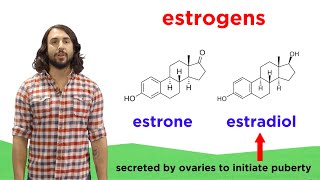 Lipids Part 2 Steroids [upl. by Stormy]