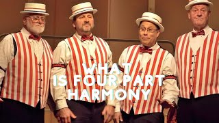 What Is Four Part Harmony [upl. by Jillane]