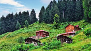 Hey Gidi Karadeniz ve Koyverdin Gittin Beni Doğaçlama Amatör Erkek Ses [upl. by Lyn289]