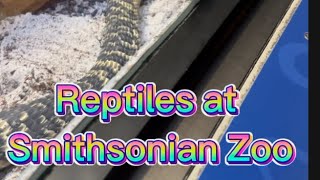 Reptiles at Smithsonian [upl. by Enihpad]