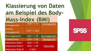 Manuelle Klassierung von Daten in SPSS  Daten analysieren in SPSS 2 [upl. by Blodgett912]