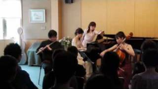 IPleyel Grand Trio Op29 3rd Movement [upl. by Eenram]