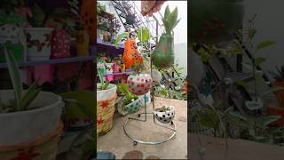 Old cup planter reuse  nature  viral short [upl. by Annayak]