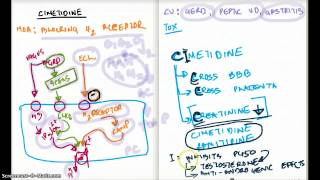 Cimetidine Made Simple [upl. by Sturdivant50]