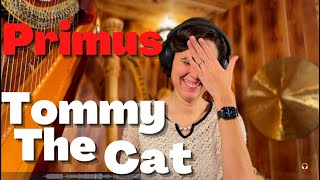 Primus Tommy The Cat  A Classical Musician’s First Listen and Reaction [upl. by Einohpets]