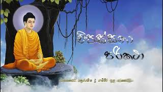 Vipassana Parikatha  විපස්සනා පරිකථා [upl. by Silma988]