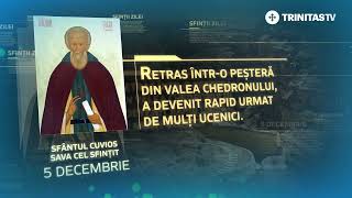 Sfântul Cuvios Sava cel Sfințit – 5 decembrie Sinaxar [upl. by Grannias]