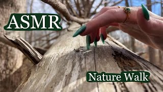 ASMR Nature Walk Tapping amp Scratching🌲🫶🏻☀️ No Talking [upl. by Granlund572]