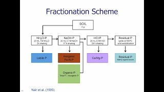 Soil Phosphorus Fractionation Procedures [upl. by Okram]