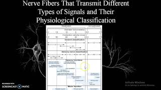 MECHANORECEPTORS AND THEIR STIMULATION  Part 2 [upl. by Lleira]