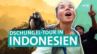 Backpacking in Indonesien DschungelTour auf Sumatra  Young Adventurers  ARD Reisen [upl. by Jessalyn]