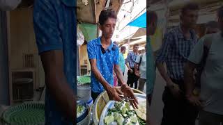 রাজুদা  Indian Street Food  Sj Vlog [upl. by Sualokin]