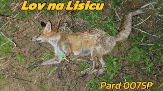 Lov na Lisicu  Pard 007SP  SampB SPCE 117g🦊 [upl. by Otnas]