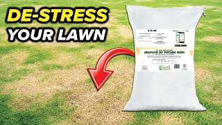 Easily Increase Potassium Levels In Your Lawn [upl. by Oicnaneb335]