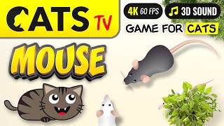 Game For Cats  Best 3D MOUSE 😻📺 4K 🎶 CAT TV 4K 3 hours [upl. by Kinnie]