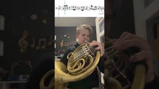 Brahms Symphony No 3 in F Major frenchhorn music classicalmusic [upl. by Eatton]