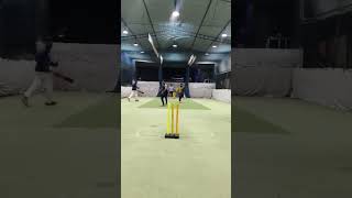 Down knee slap cricket [upl. by Nonnek518]