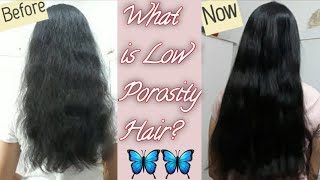 Best Products for Low Porosity Hair amp Ingredients to Avoid [upl. by Noillid652]